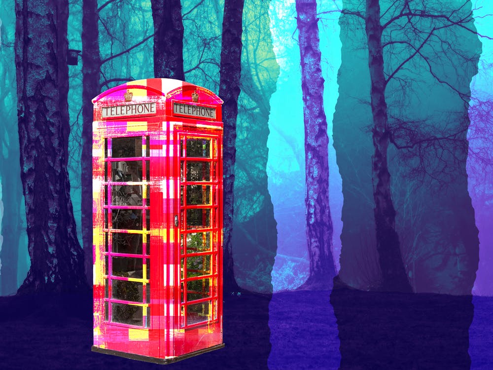 Phone Booth In The Woods