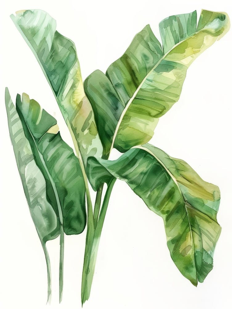 Banana Leaf Watercolor Painting 1