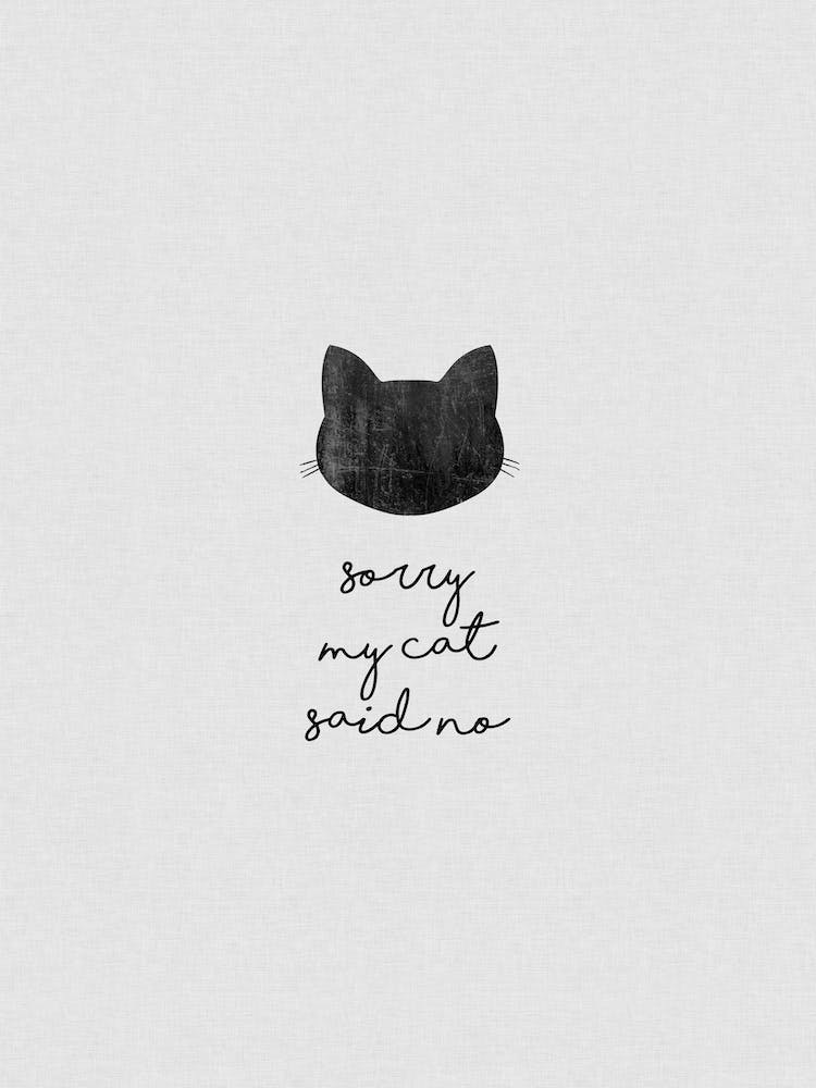 Sorry My Cat Said No