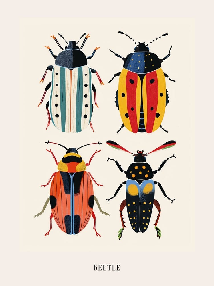 Colourful Insect Illustration Beetle 4 Poster