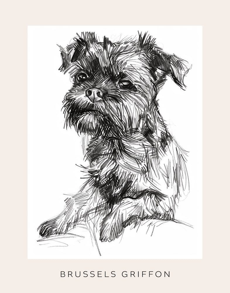 Brussels Griffon Line Sketch 2 Poster