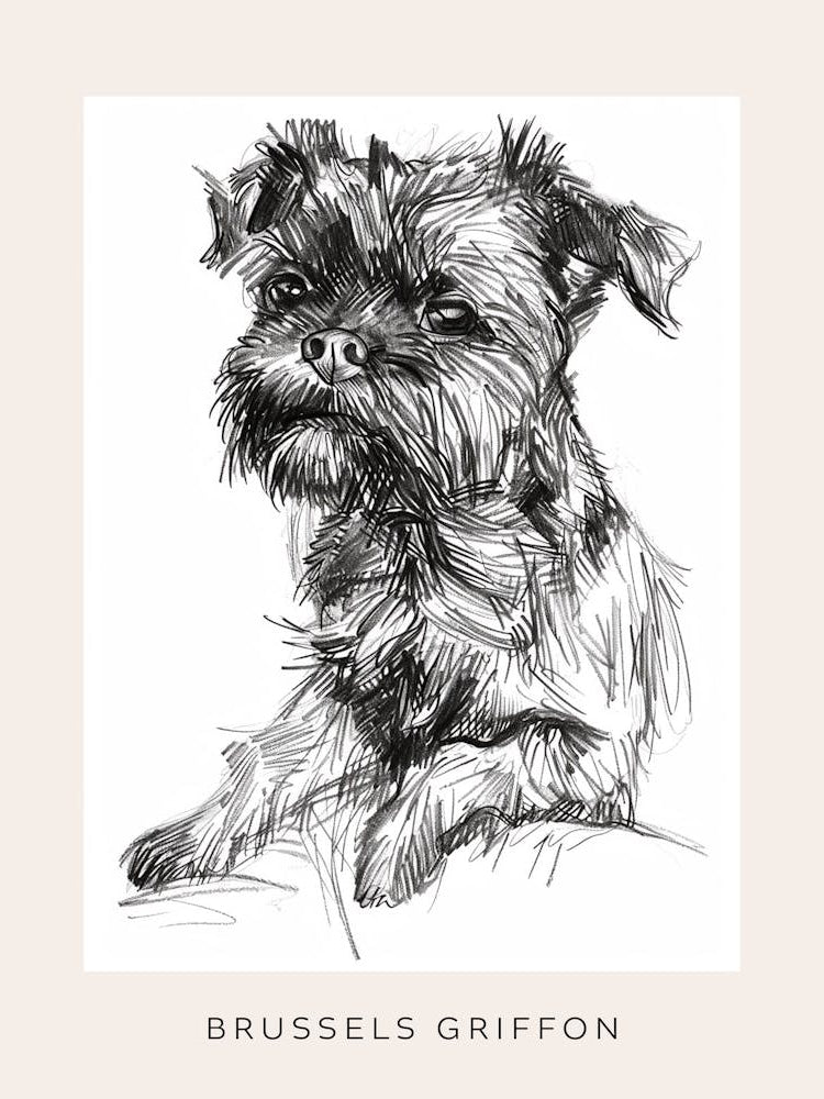 Brussels Griffon Line Sketch 2 Poster
