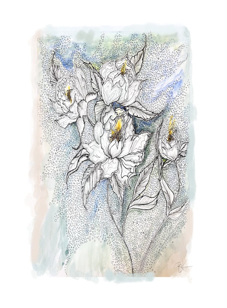 Peonies