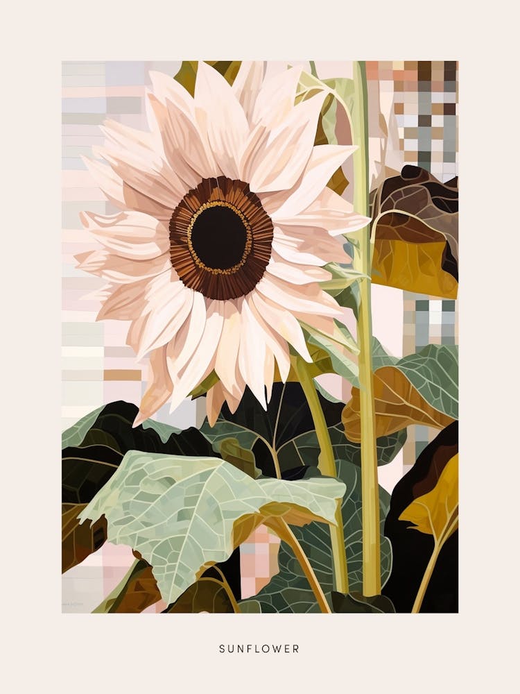 Flower Illustration Sunflower 1 Poster