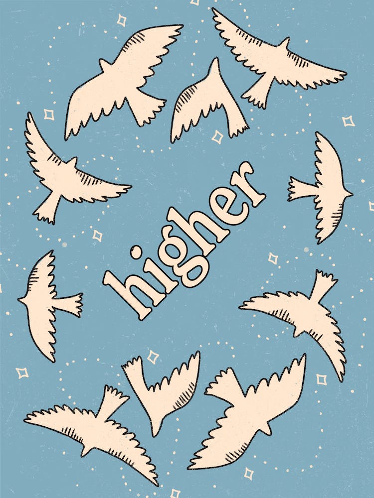 Higher Than The Birds