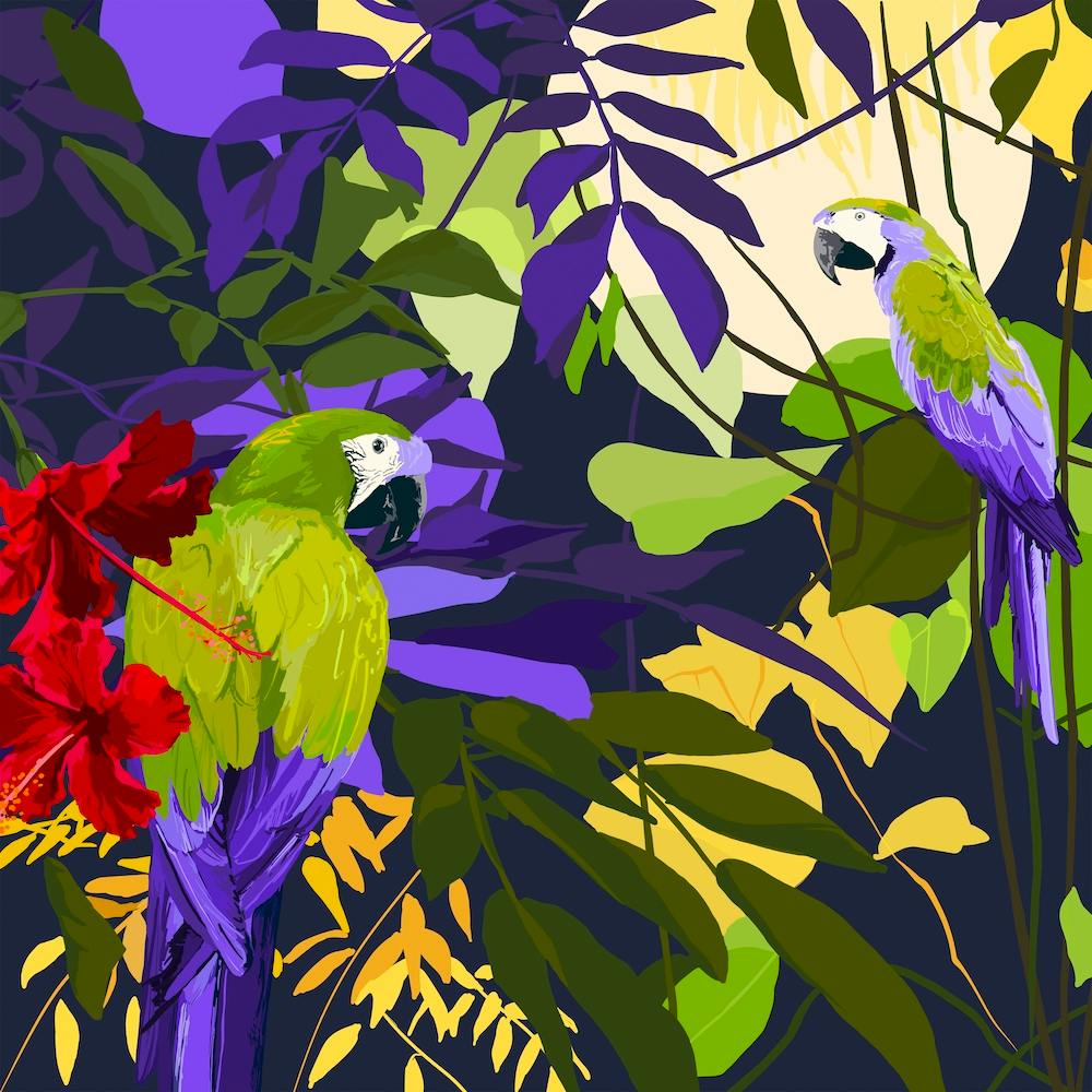 Parrots Amid Hibiscus Square