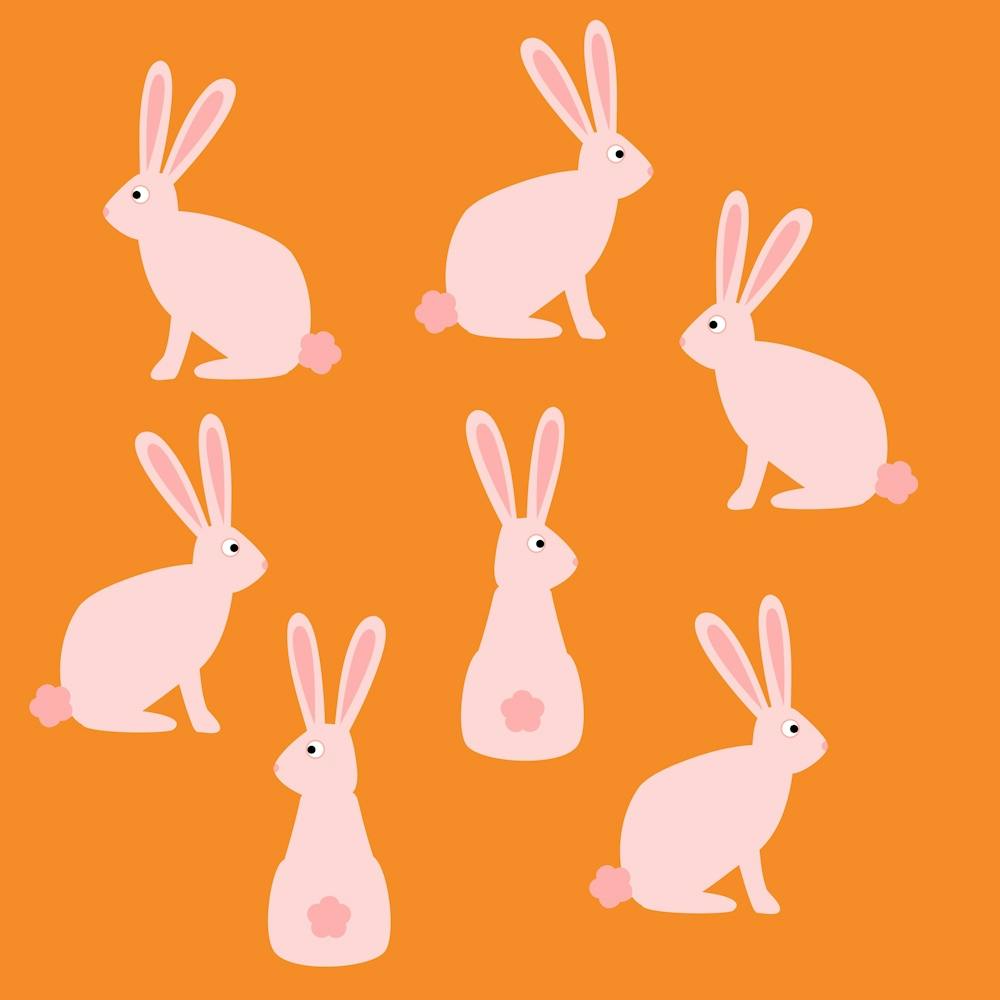 Bunnies and Rabbits