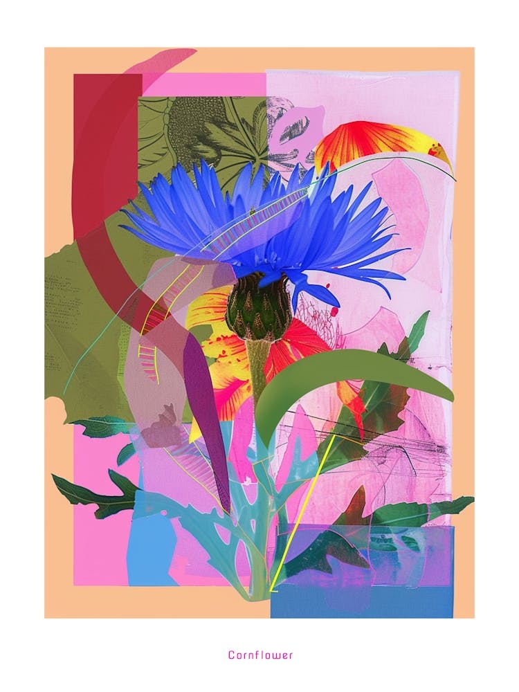 Cornflower (Bachelor S Button) 4 Neon Flower Collage Poster