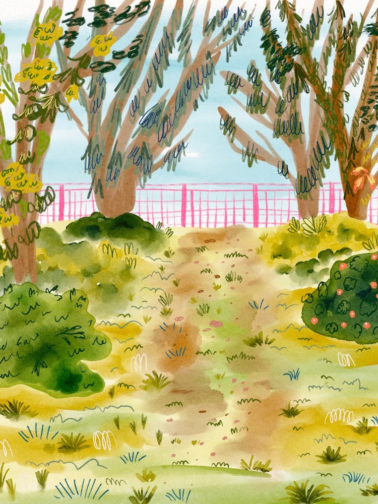 Forest in Bandung, Indonesia