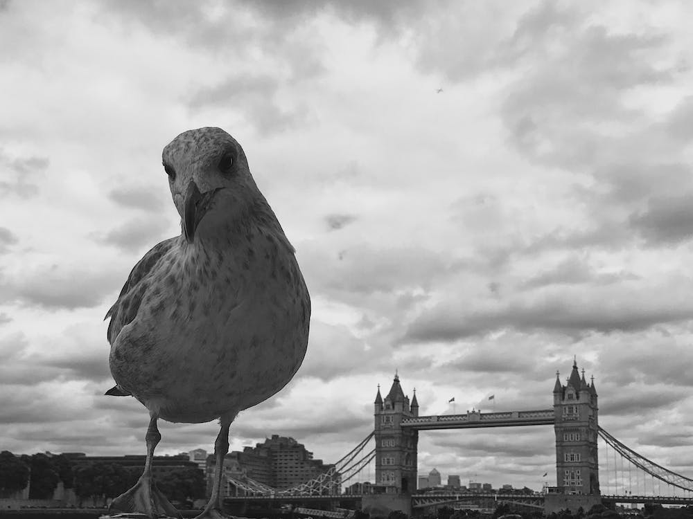 London Bridge