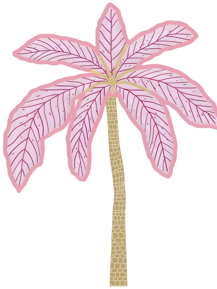 Pink Palm Tree