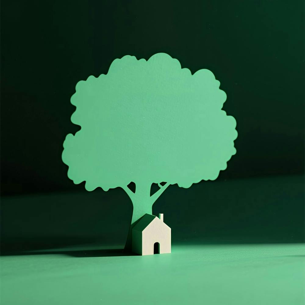 House And Tree