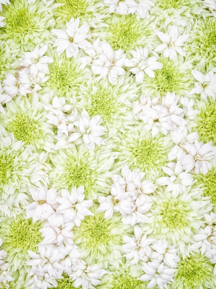 White Green Flowers