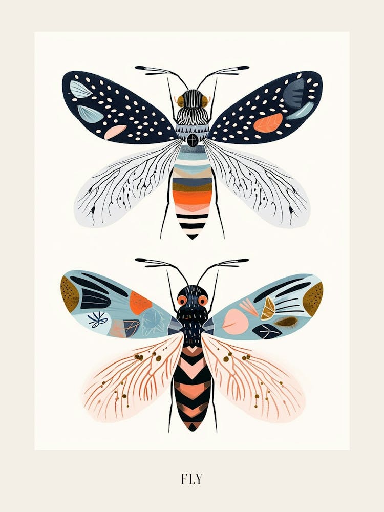 Colourful Insect Illustration Fly 11 Poster
