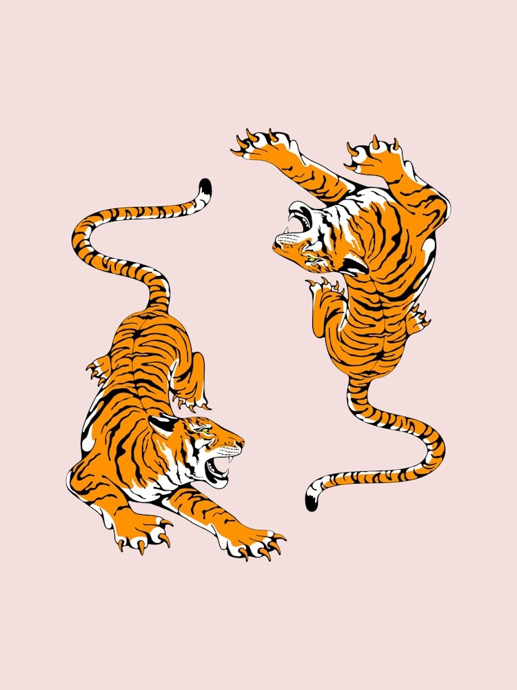 Tiger 6
