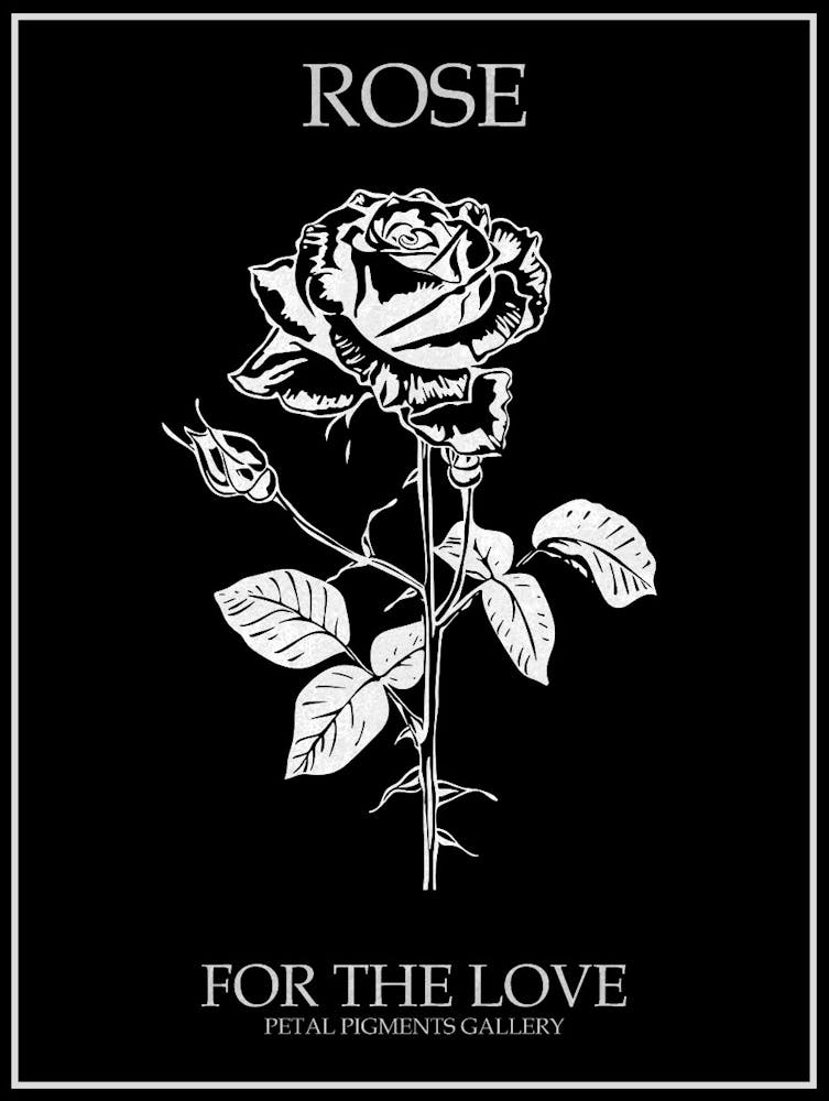 Black And White Rose Line Drawing 7 Poster Inverted