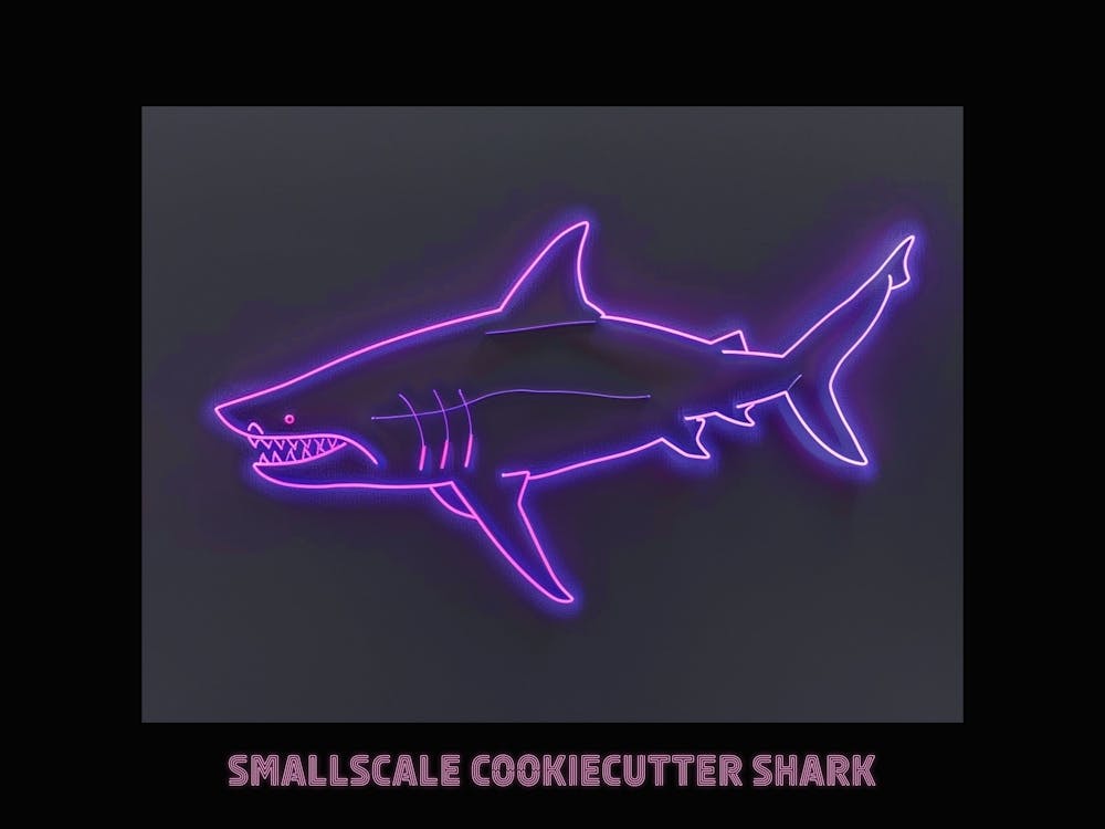 Neon Pink Lila Kleiner Cookiecutter-Hai Poster 2