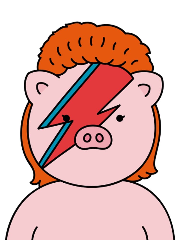 Piggy Stardust