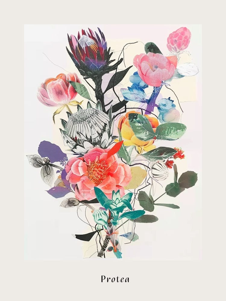 Protea 2 Collage Flower Bouquet Poster