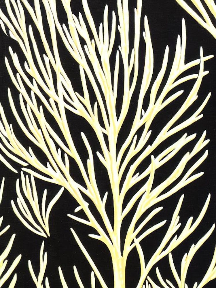 Acropora Secale Linocut