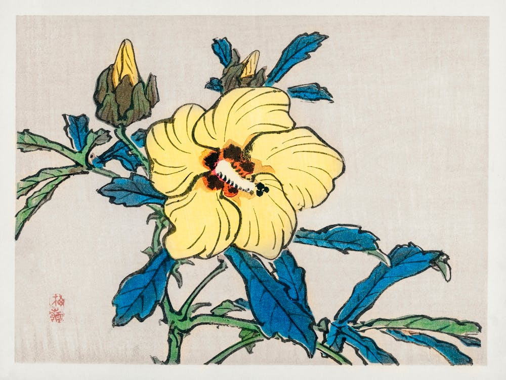 Hibiscus, Kōno Bairei