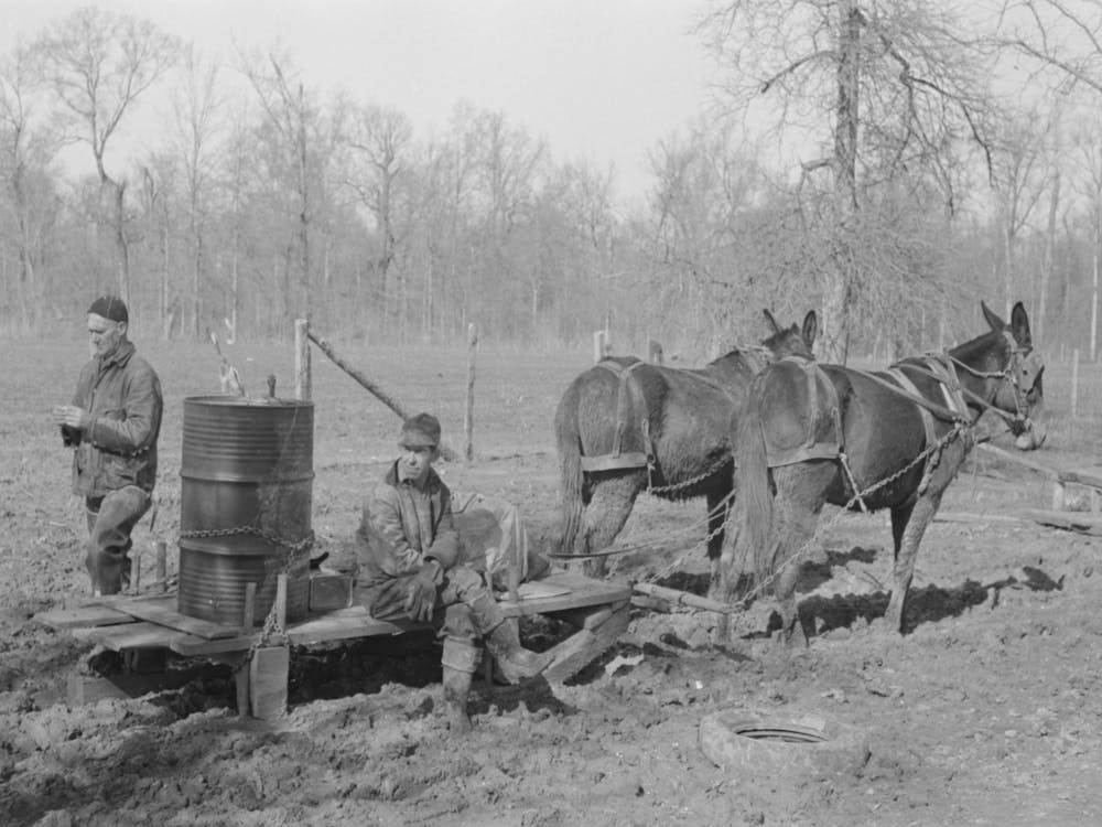 Farmers Of Chicot Farms Project, Arkansas With Mud Sled Which Is Used For Transporting Supplies By Russell Lee