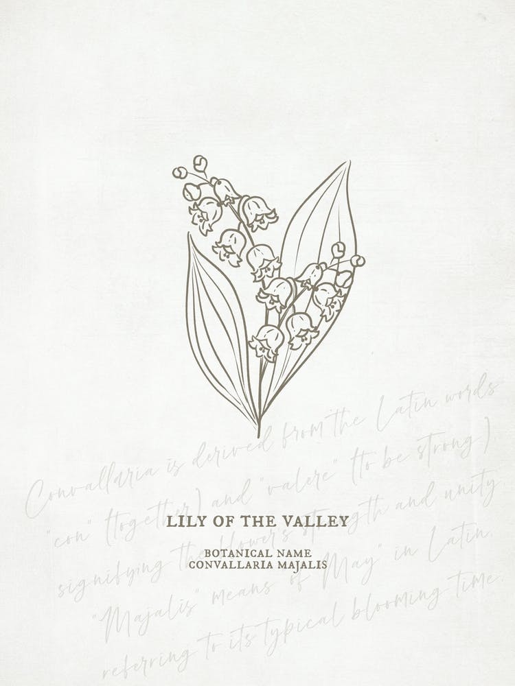 Lily Of The Valley Birth Flower | Antique