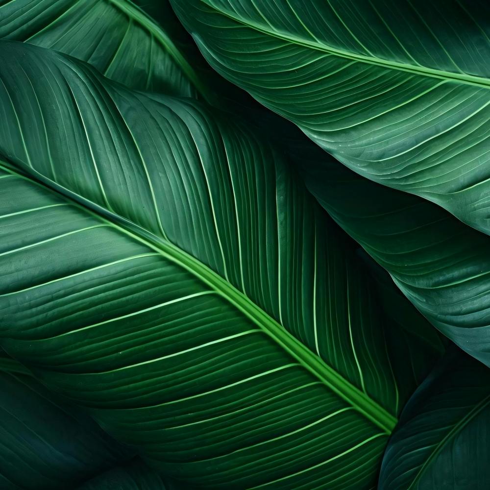 Green Leaves Background 1