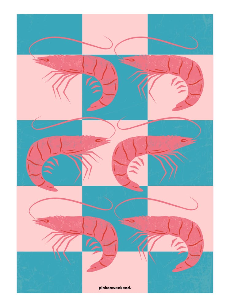 Vibrant Shrimp Digital - 