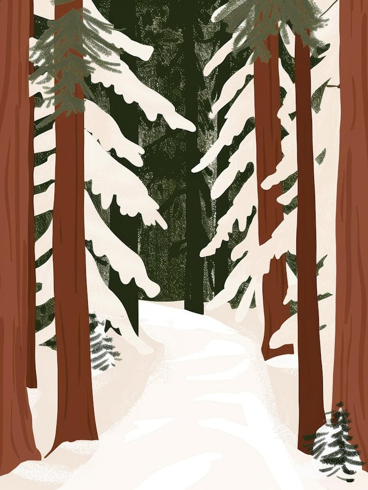 Snowy Path In The Woods