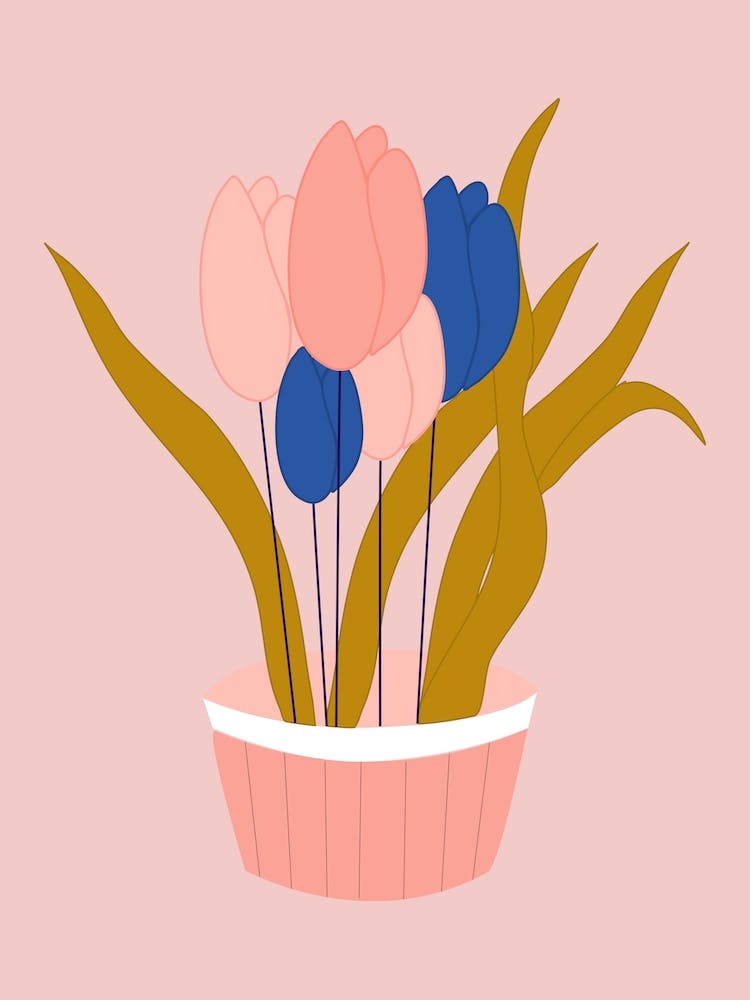 Pink And Blue Tulips In A Pot