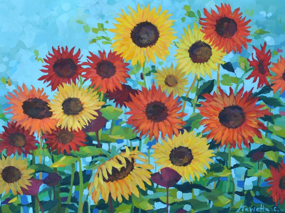 Sonnenblumenwiese