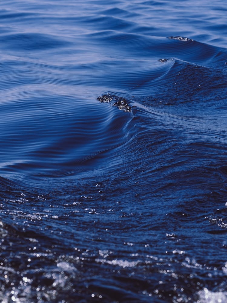 Desert Waves