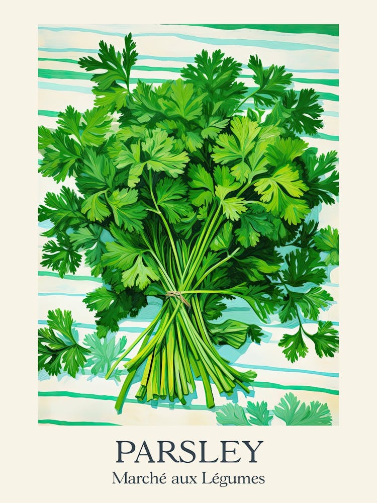Marche Aux Legumes Parsley Summer Illustration 1