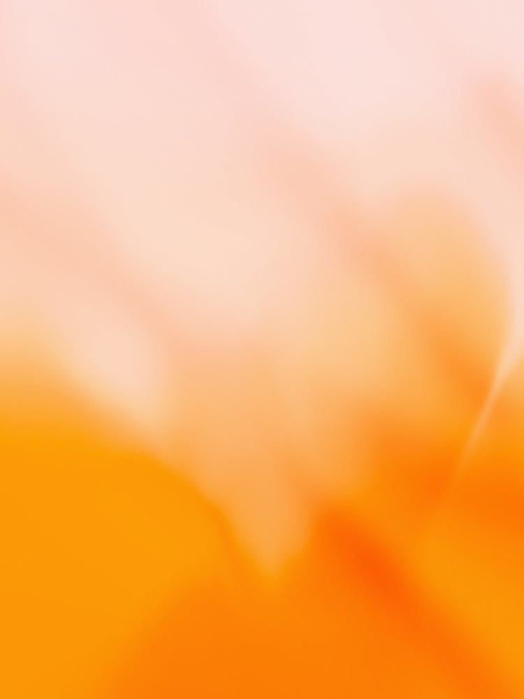 Vibrant Orange Gradient