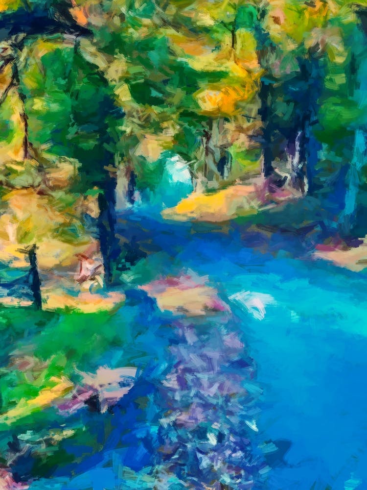 A Path To The Forest