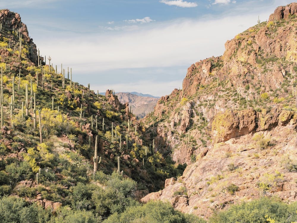 Warm Arizona Desert Scenery