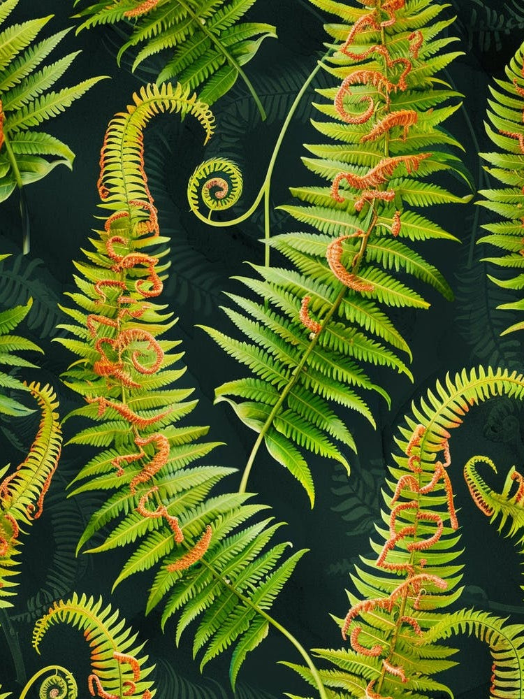 Pattern Poster Harts Tongue Fern 1