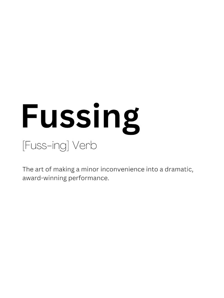 Fussing Definition Meaning 1