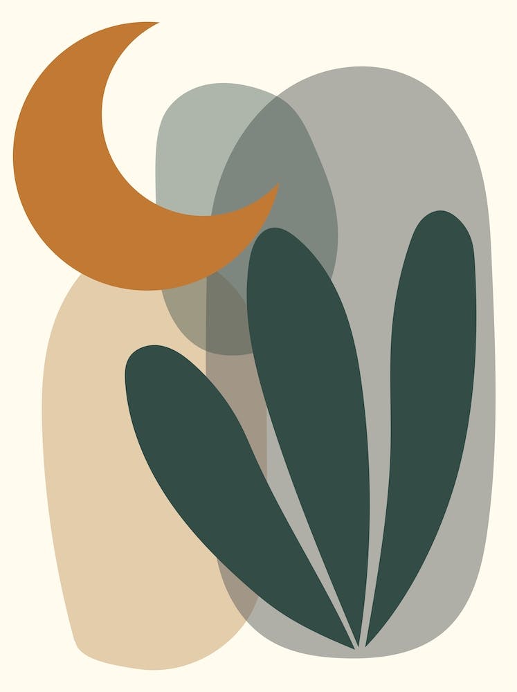 Moon And Leaves