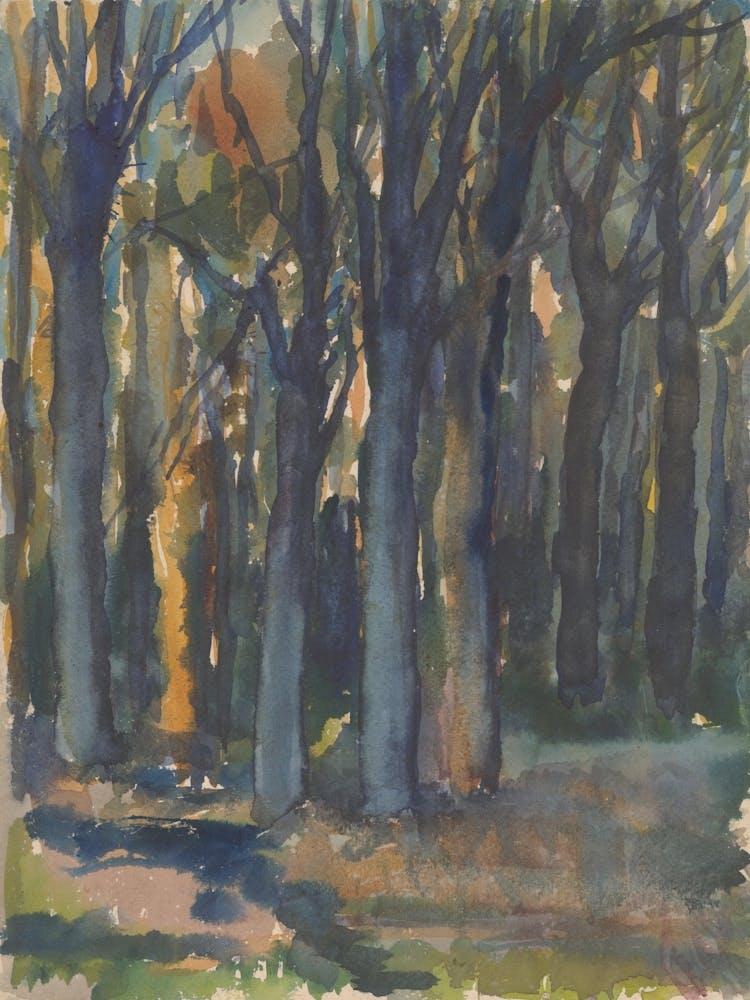 Grove Of Trees 1