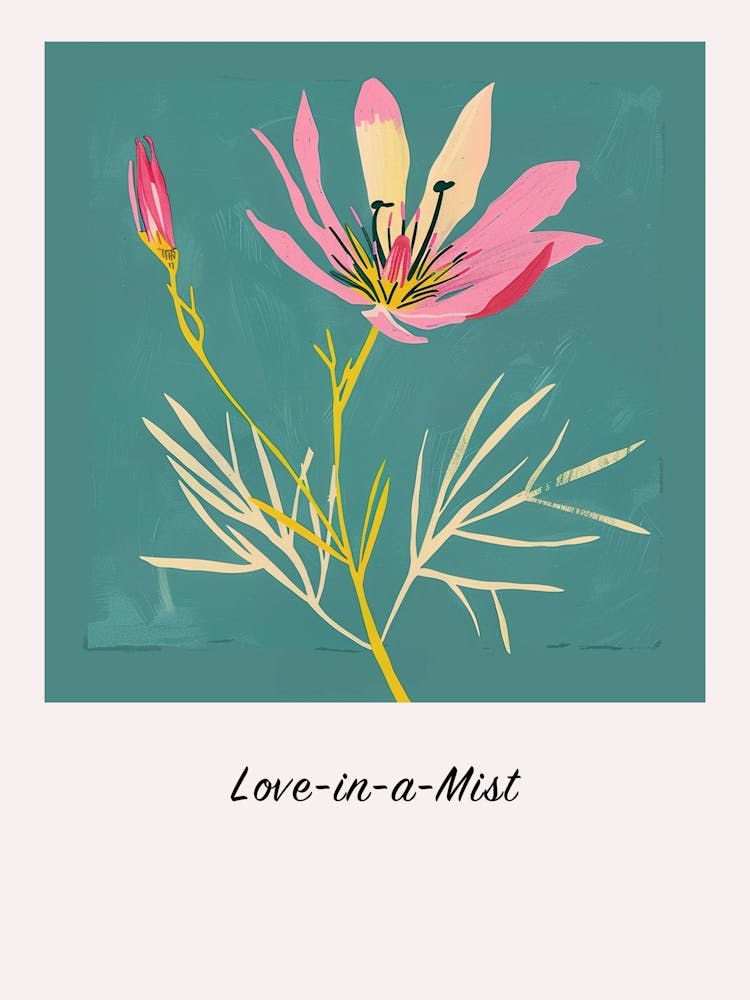 Love In A Mist 5 Quadratisches Blumenillustrationsposter