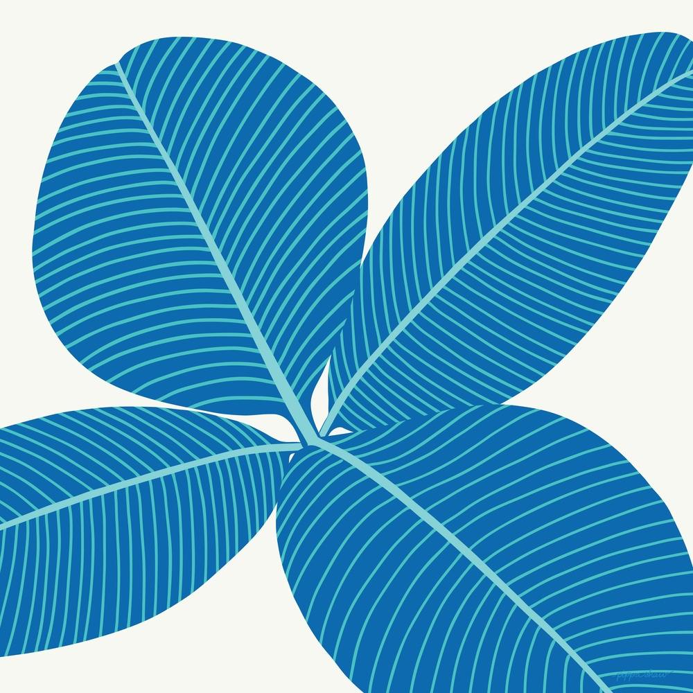 Rubber Plant Blue Square