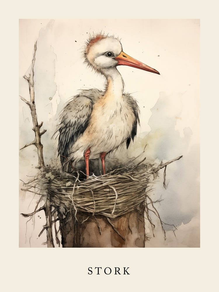 Beatrix Potter Inspired  Animal Watercolour Stork 4