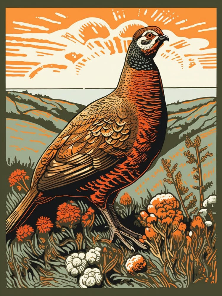 Vintage Bird Linocut Grouse 2