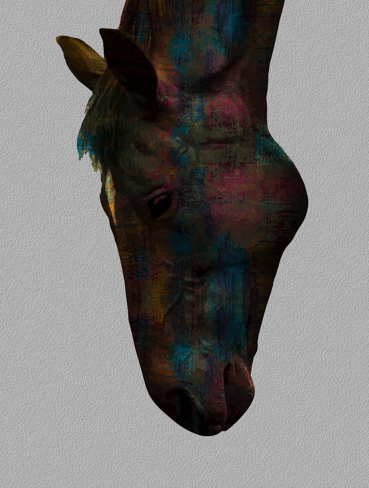 Graceful Equine Sip Colorful Horse Head Design