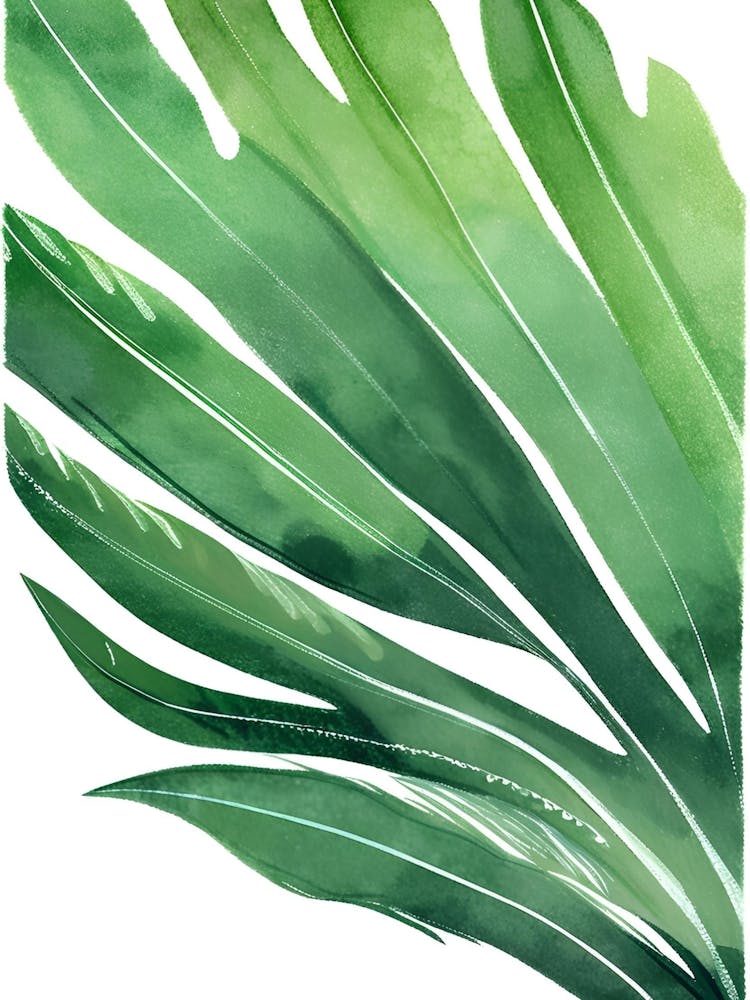 Watercolor Palm Leaf
