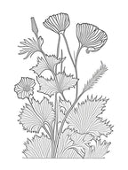 Maca Herb William Morris Inspired Line Drawing 1