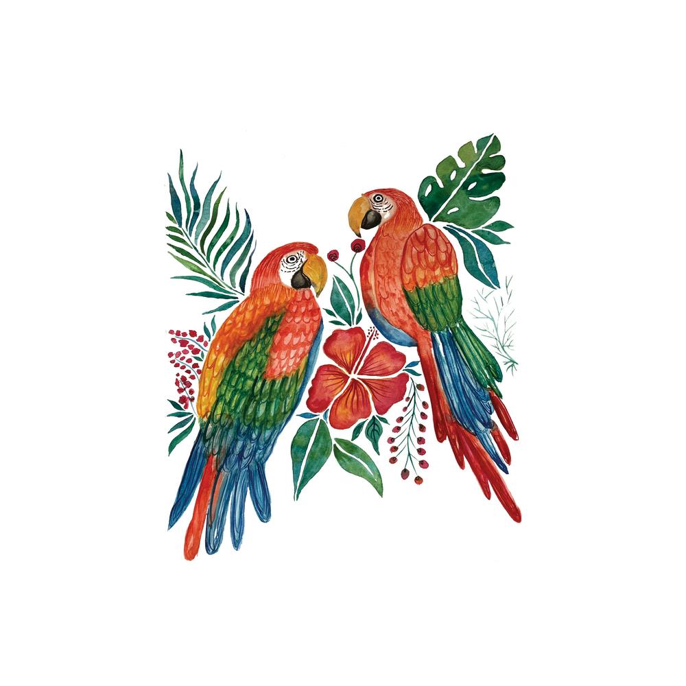 Tropical Macaw Parrots