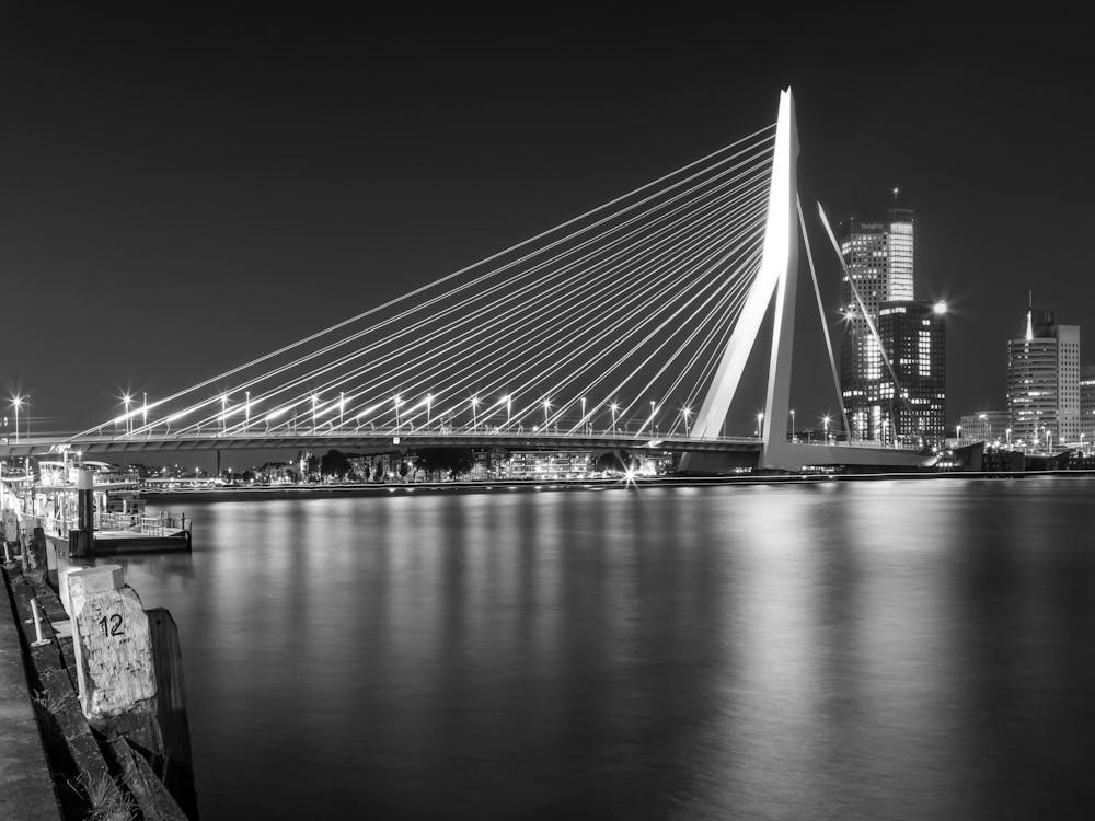 Iconic Erasmus Bridge Rotterdam